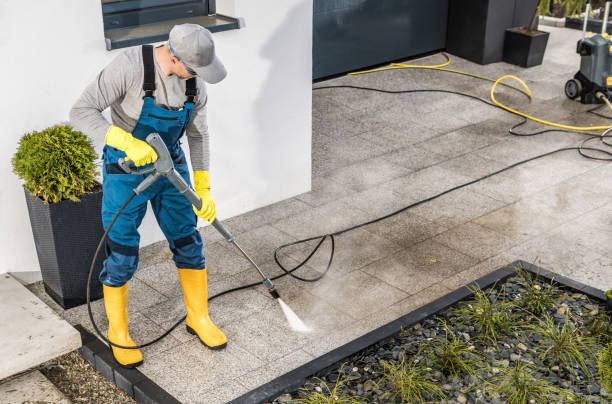 Best Seasonal Cleaning Services in Nevada, IA